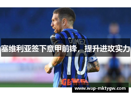 塞维利亚签下意甲前锋，提升进攻实力